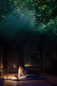 Perfect Days poster