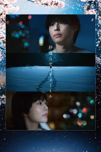 5 Centimeters per Second poster